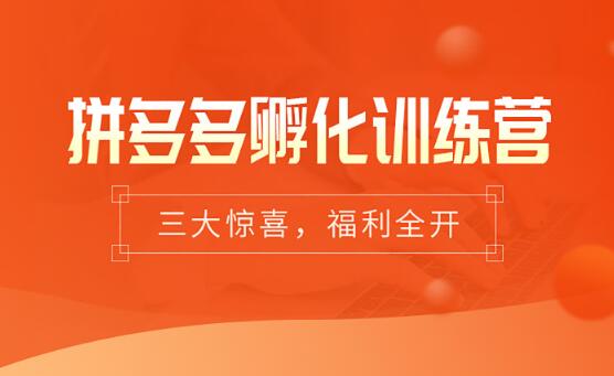中山拼多多孵化训练营