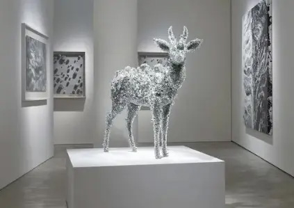 艺术设计专业硕士毕业后都能干什么