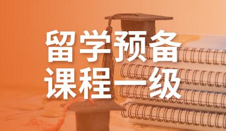 合肥托福留学预备一级VIP4人班