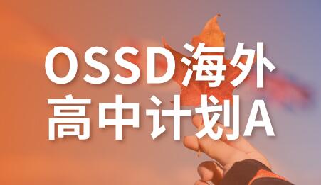 合肥OSSD海外高中计划A