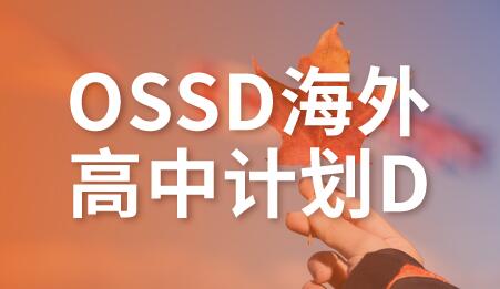 合肥OSSD海外高中计划D