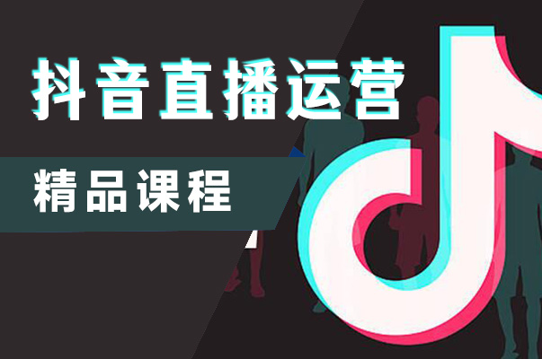 深圳抖音直播运营实训班