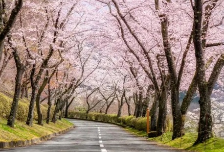 上海日语口语培训机构十大 排名新鲜出炉