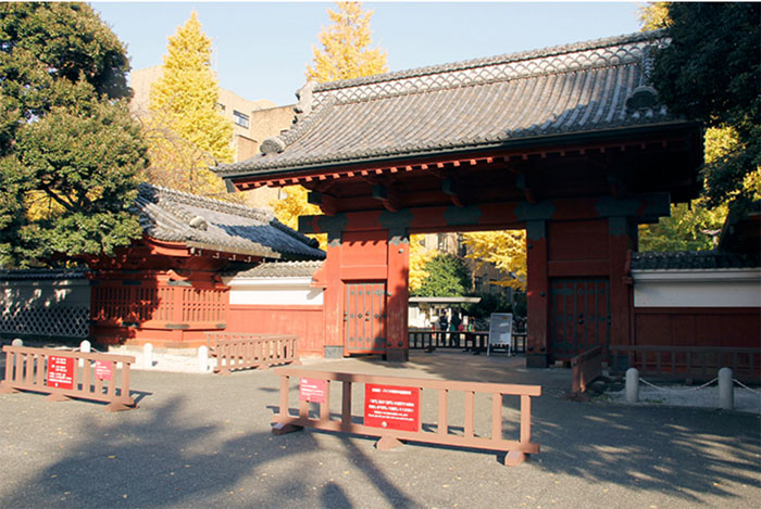 上海日语培训周末班推荐：几家优质的培训机构