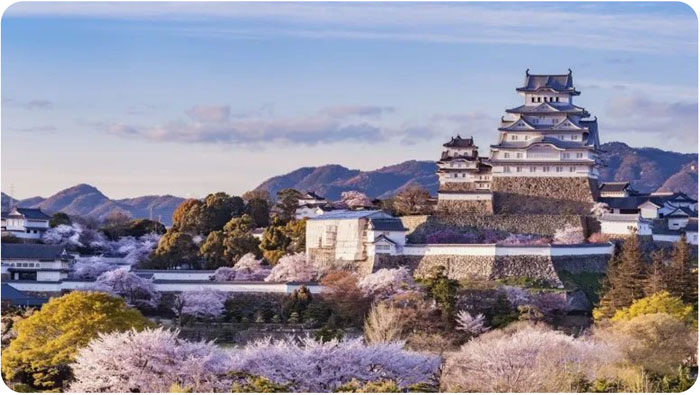 上海日本音乐留学机构选择哪个比较好？