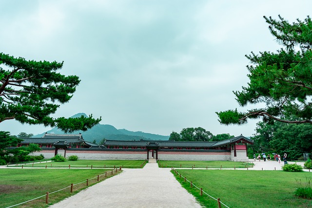 韩国留学选上海中介有哪些比较好？