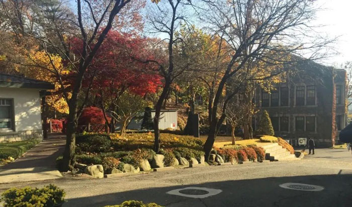 济南韩国音乐留学机构选择哪个比较好？