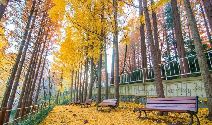 上海韩语学习培训机构靠谱吗？