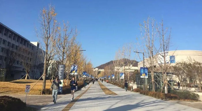 青岛哪里培训韩语好且价格公道？