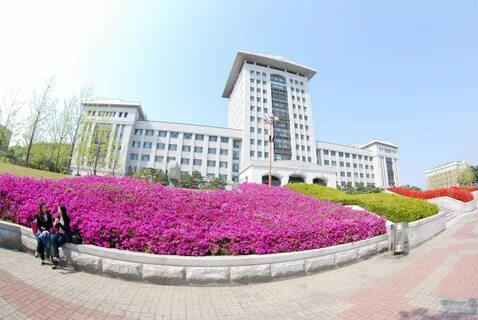 青岛韩语学习培训机构靠谱吗？