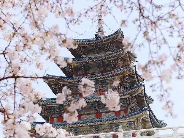 青岛韩语培训班地点交通便利吗？