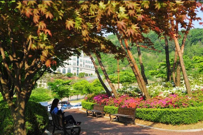 济南韩语培训学校哪个口碑好？