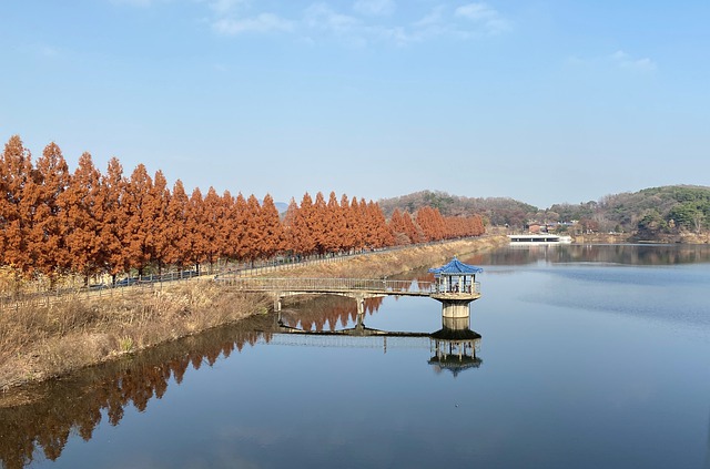 杭州欧风韩语培训有什么特色？