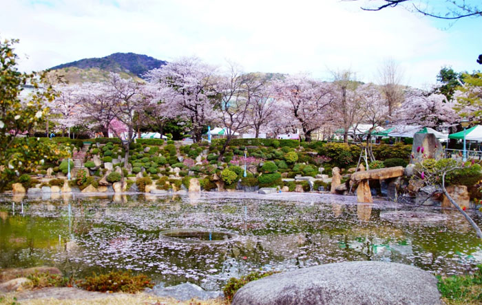 海口好的韩语培训机构怎么判断？