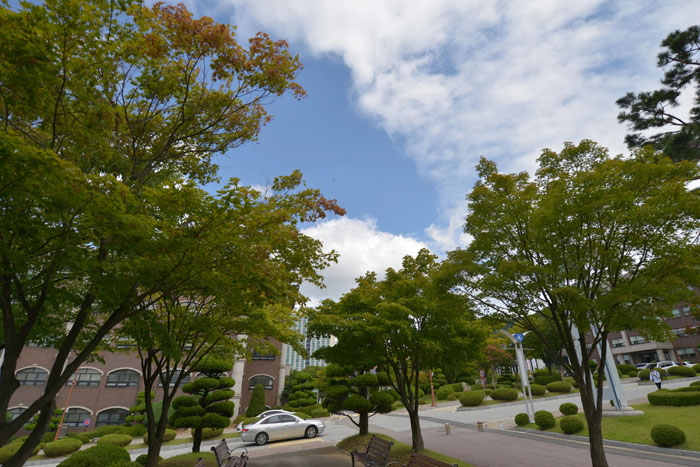 佛山哪里韩语培训师资比较强大？