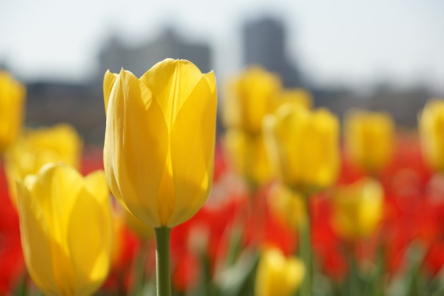 佛山韩语培训班收费贵不贵？