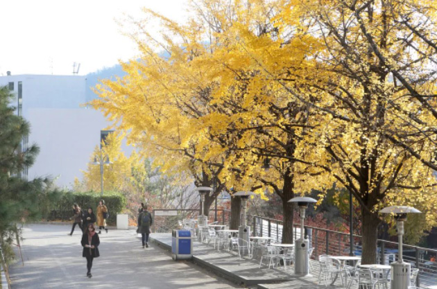 成都韩语等级培训要考几次？