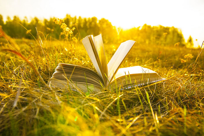 合肥雅思口语培训哪家更专业？