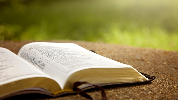 合肥新航道雅思班怎么样靠谱吗？