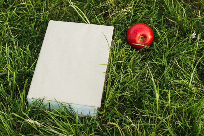 合肥雅思培训排行依据是什么？