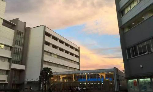 去美国留学能申请到多少奖学金