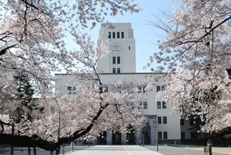 美国留学选大城市还是小城镇读书