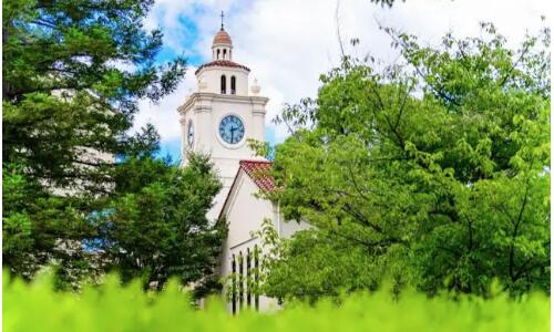 武汉新通教育留学口碑怎么样？真实学员反馈全解析