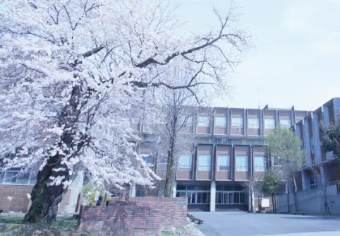 常州留学加拿大贵吗？中介费到底值不值得？