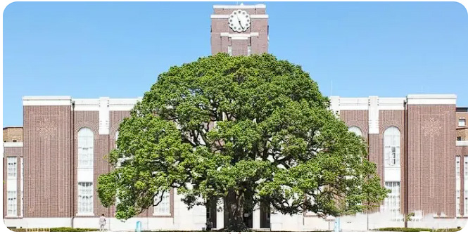 南京学日语哪家强？来看看这家机构如何让你轻松掌握日语！