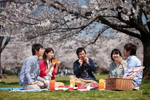 想学习日语却没时间？南京这些日语培训机构了解一下！