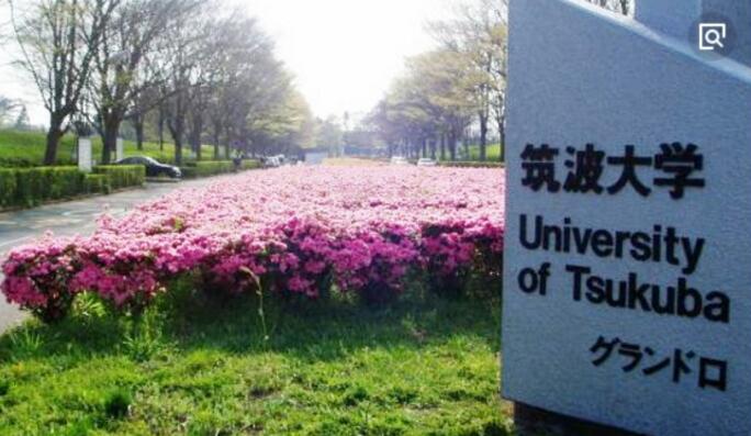 郑州日语全日制培训口碑好的机构封闭班推荐
