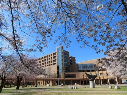 沈阳哪里学日语？线下小班培训机构推荐