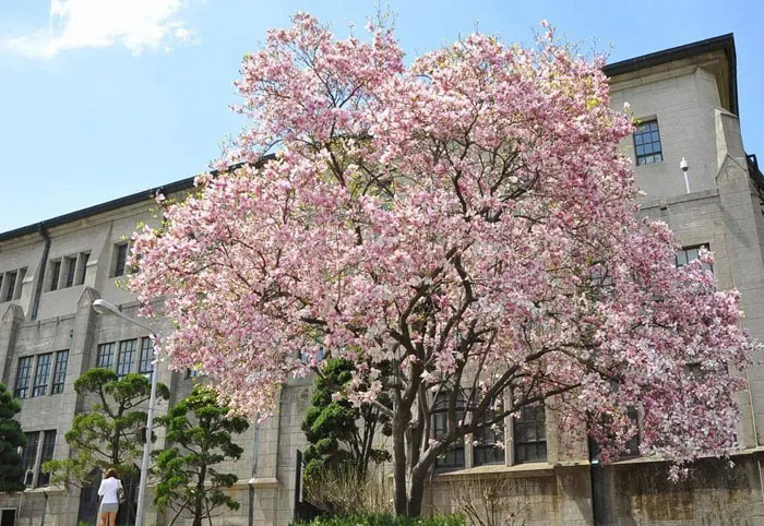 海口学韩语哪家好？这份全日制培训班推荐请收好！