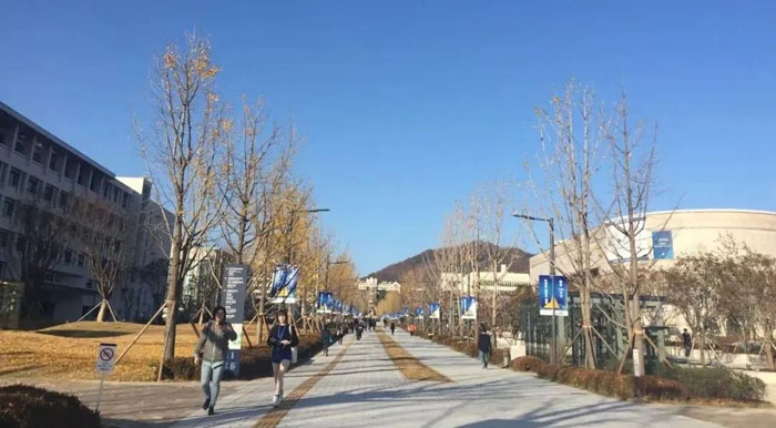 东莞学韩语选哪个学校？这些靠谱！