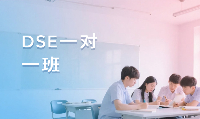 杭州DSE一对一班
