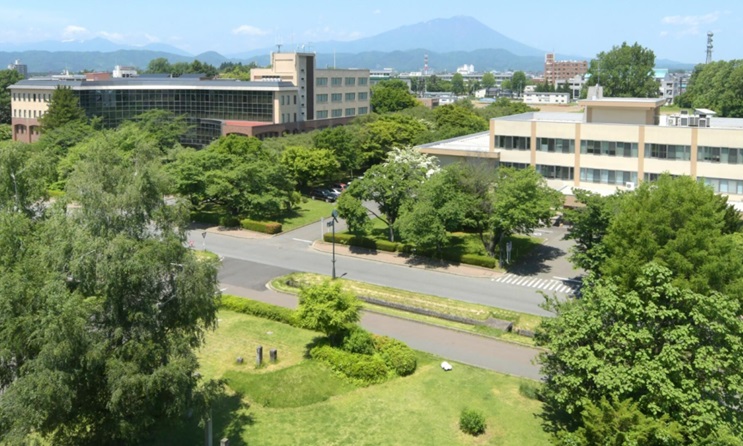 日本留学一年大概需要多少钱学费和生活费如何合理分配