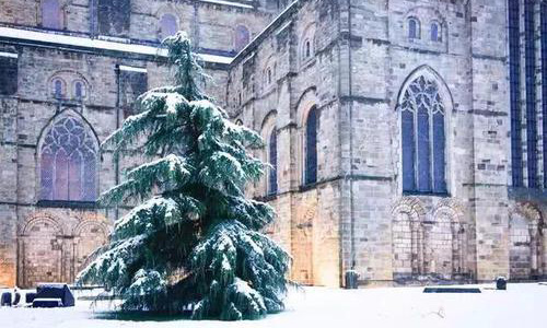 数字媒体艺术留学未来就业方向有哪些？