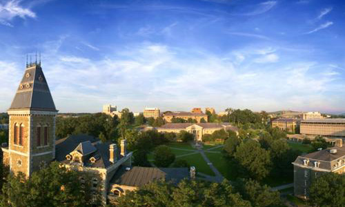 中央圣马丁作品集更看重创意还是技法？