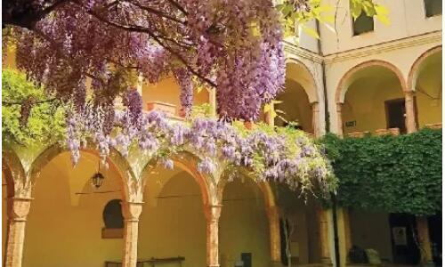 艺术留学院校就业率排名靠谱吗？