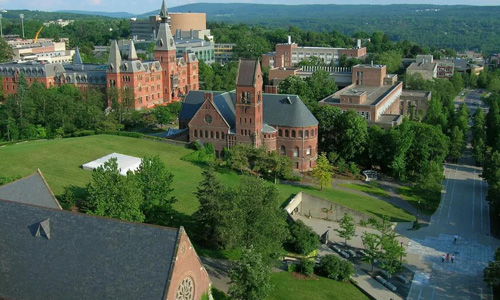 园林设计作品集里放多少项目才能打动罗德岛招生官