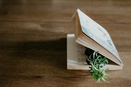 英语四六级阅读刷题总错很多避开常见陷阱的方法