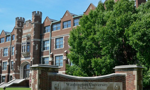 雅思成绩不达标，英国大学还有其他语言要求吗