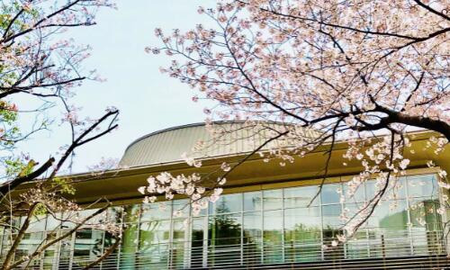 国际高中词汇量不足，怎么有效记忆