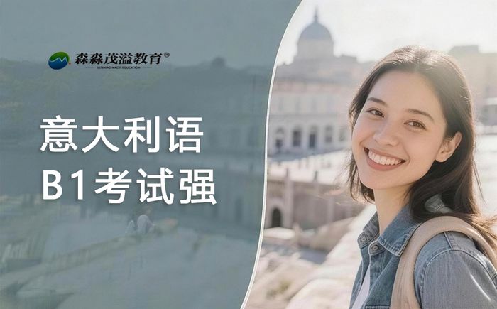 郑州森淼教育意大利语B1考试强化课程
