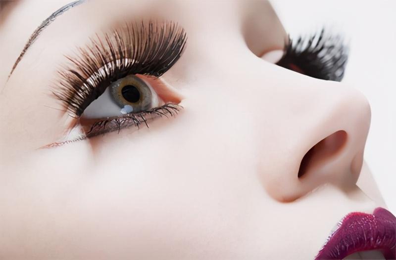 仙子睫嫁接后为什么容易东倒西歪