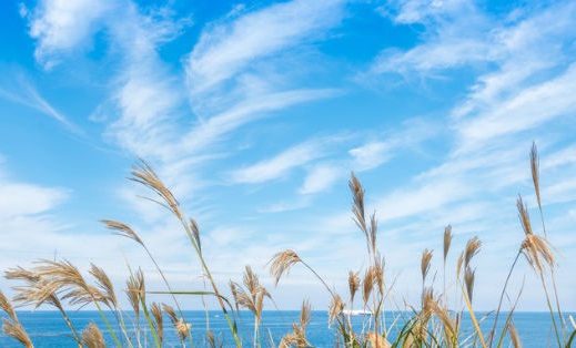 日语N2水平申请日本研究生，是否满足基础要求