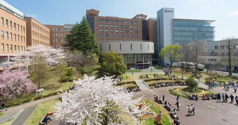 工科生去日本留学选什么专业比较好就业