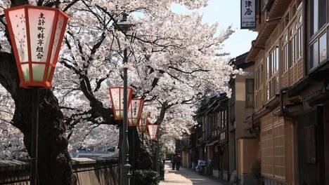 申请日本奖学金需要提前准备哪些材料