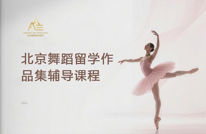 北京舞蹈留学作品集辅导课程