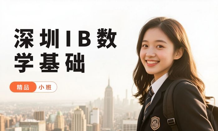 深圳威学一百IB数学基础培训班
